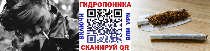 Купить закладки  Североуральск  Бошки марихуана план 